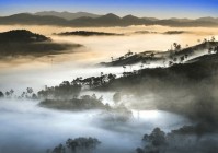 山东严查酒驾醉驾行为有哪些，山东严查酒驾醉驾行为有哪些规定